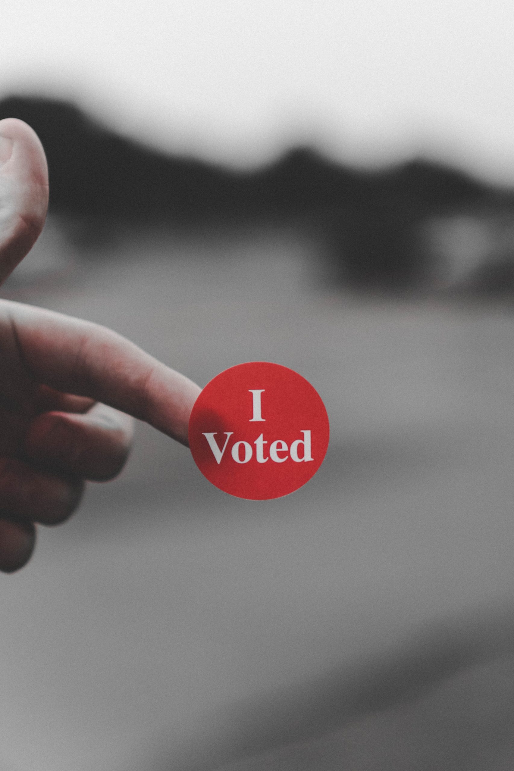 "i voted" sticker